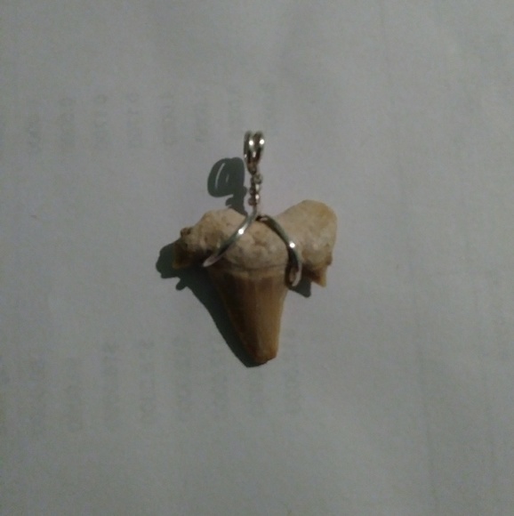 Genuine, Sterling Silver Fossil Shark Tooth Pendan - Picture 2 of 3